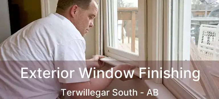  Exterior Window Finishing Terwillegar South - AB