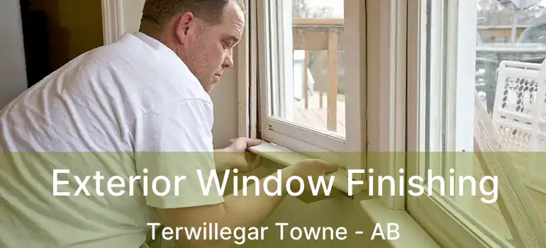  Exterior Window Finishing Terwillegar Towne - AB