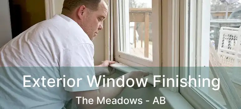  Exterior Window Finishing The Meadows - AB