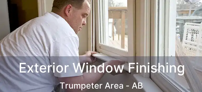  Exterior Window Finishing Trumpeter Area - AB