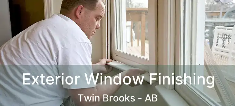  Exterior Window Finishing Twin Brooks - AB