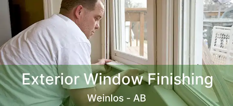  Exterior Window Finishing Weinlos - AB