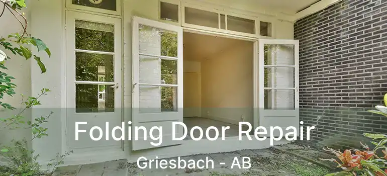  Folding Door Repair Griesbach - AB