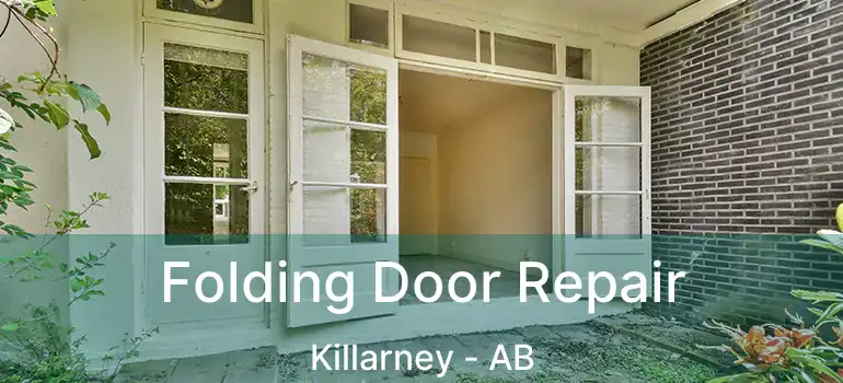  Folding Door Repair Killarney - AB