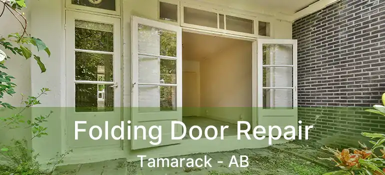  Folding Door Repair Tamarack - AB