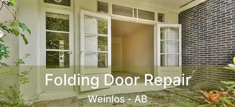  Folding Door Repair Weinlos - AB