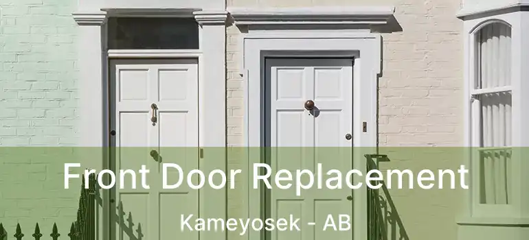  Front Door Replacement Kameyosek - AB