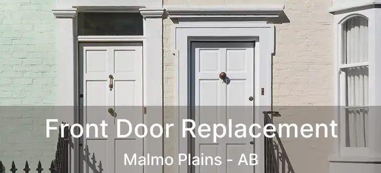  Front Door Replacement Malmo Plains - AB