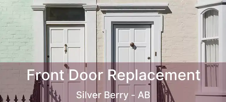  Front Door Replacement Silver Berry - AB