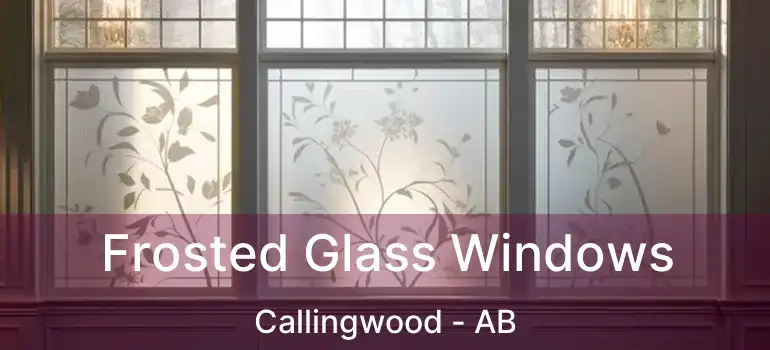  Frosted Glass Windows Callingwood - AB