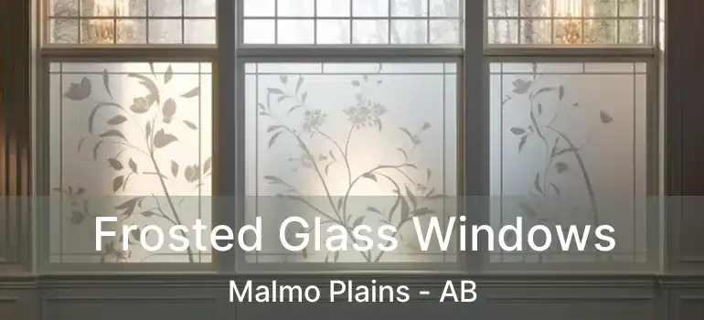  Frosted Glass Windows Malmo Plains - AB