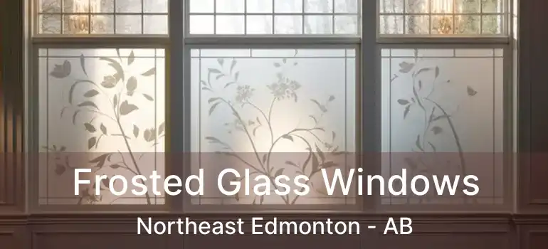  Frosted Glass Windows Northeast Edmonton - AB