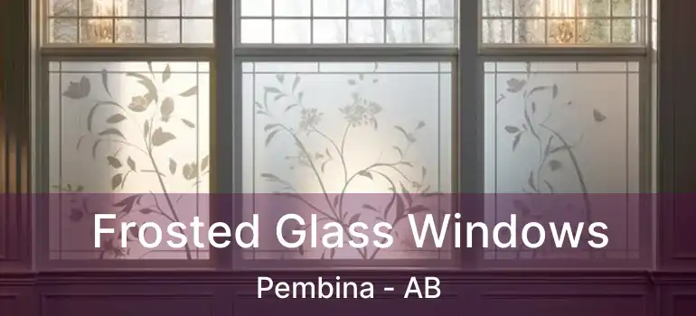  Frosted Glass Windows Pembina - AB