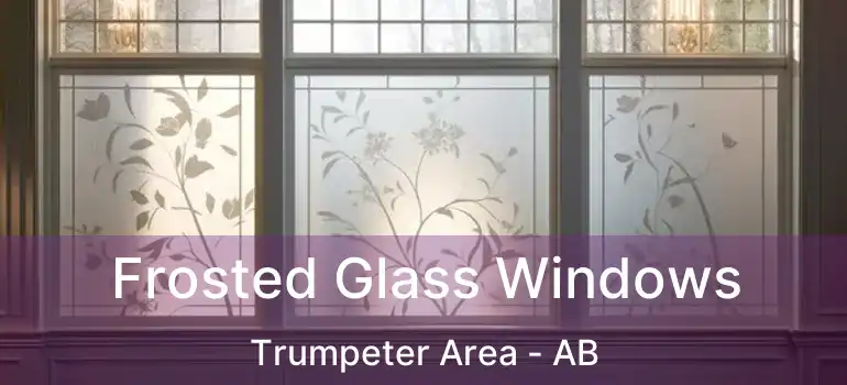  Frosted Glass Windows Trumpeter Area - AB
