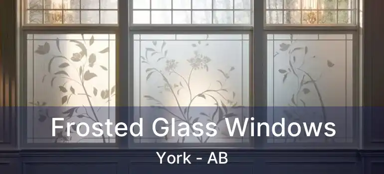  Frosted Glass Windows York - AB