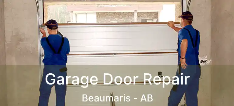  Garage Door Repair Beaumaris - AB