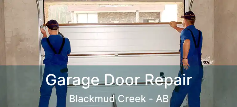  Garage Door Repair Blackmud Creek - AB
