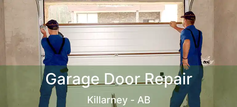  Garage Door Repair Killarney - AB