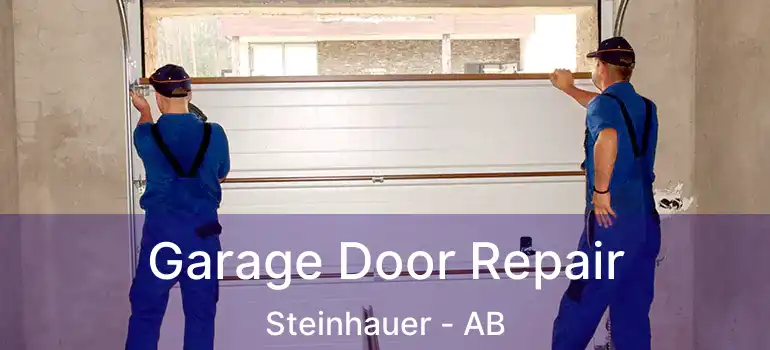  Garage Door Repair Steinhauer - AB
