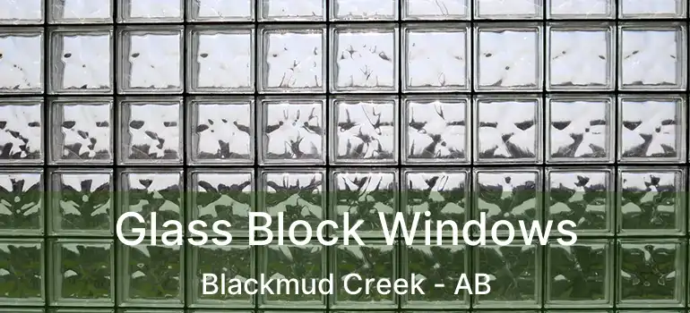  Glass Block Windows Blackmud Creek - AB