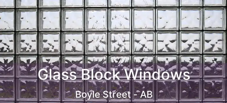  Glass Block Windows Boyle Street - AB