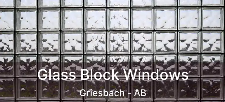  Glass Block Windows Griesbach - AB