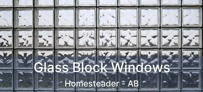  Glass Block Windows Homesteader - AB