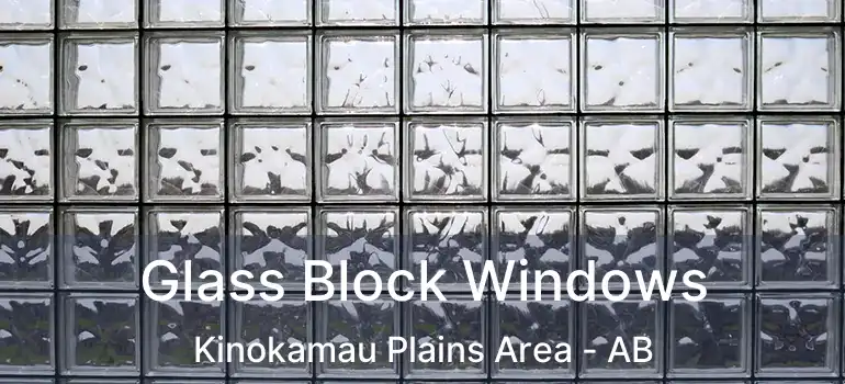  Glass Block Windows Kinokamau Plains Area - AB