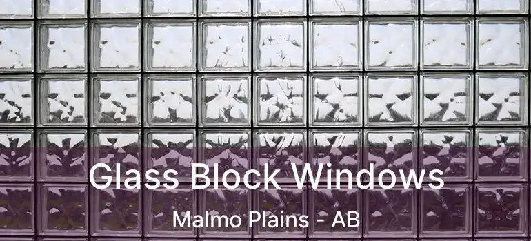 Glass Block Windows Malmo Plains - AB