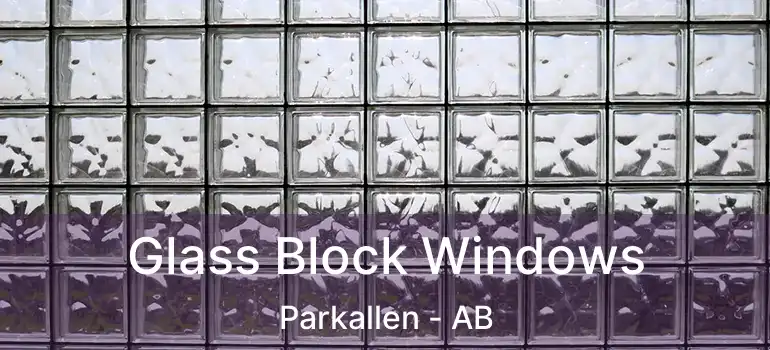  Glass Block Windows Parkallen - AB