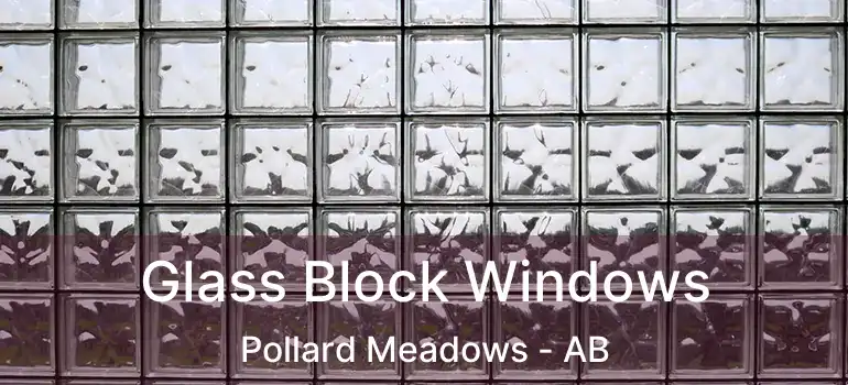  Glass Block Windows Pollard Meadows - AB