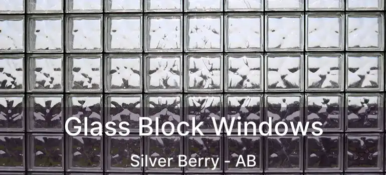  Glass Block Windows Silver Berry - AB