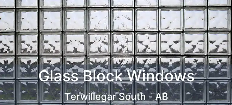  Glass Block Windows Terwillegar South - AB