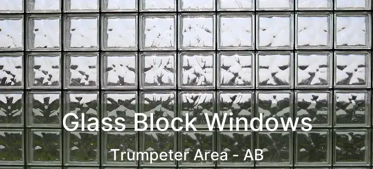  Glass Block Windows Trumpeter Area - AB