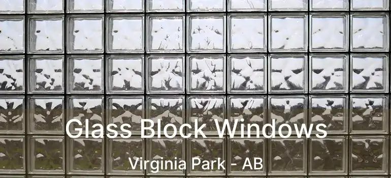  Glass Block Windows Virginia Park - AB