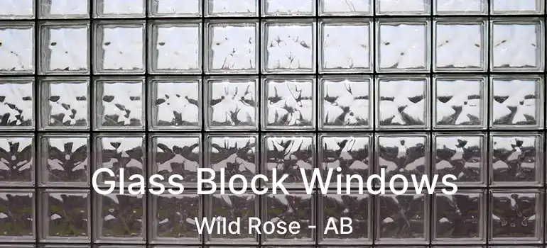  Glass Block Windows Wild Rose - AB