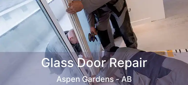  Glass Door Repair Aspen Gardens - AB