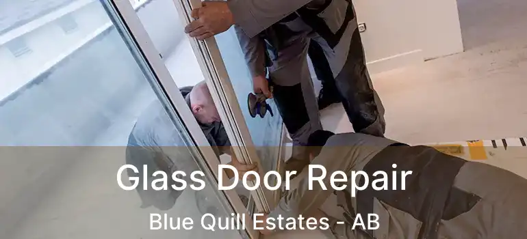  Glass Door Repair Blue Quill Estates - AB