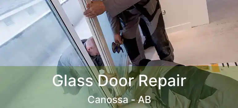  Glass Door Repair Canossa - AB