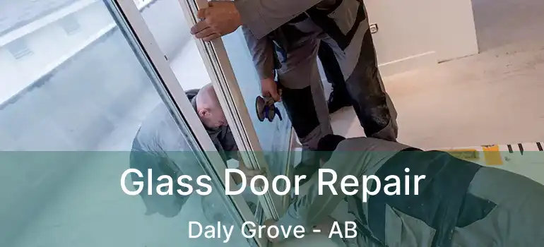  Glass Door Repair Daly Grove - AB