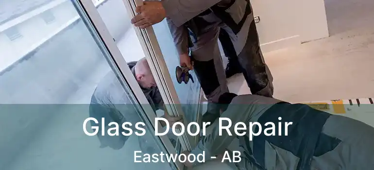  Glass Door Repair Eastwood - AB