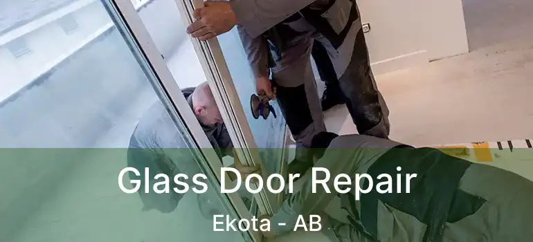  Glass Door Repair Ekota - AB