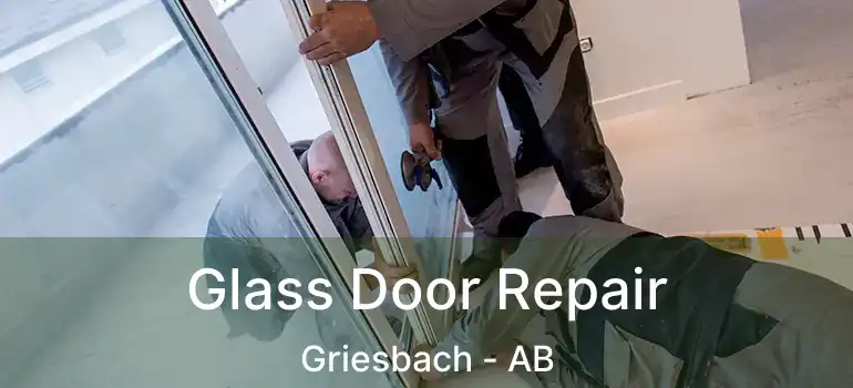  Glass Door Repair Griesbach - AB
