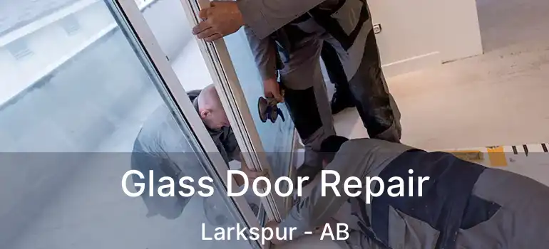  Glass Door Repair Larkspur - AB