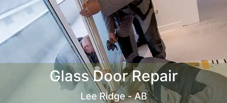  Glass Door Repair Lee Ridge - AB