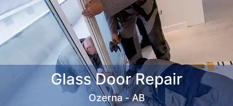  Glass Door Repair Ozerna - AB