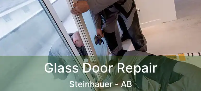  Glass Door Repair Steinhauer - AB