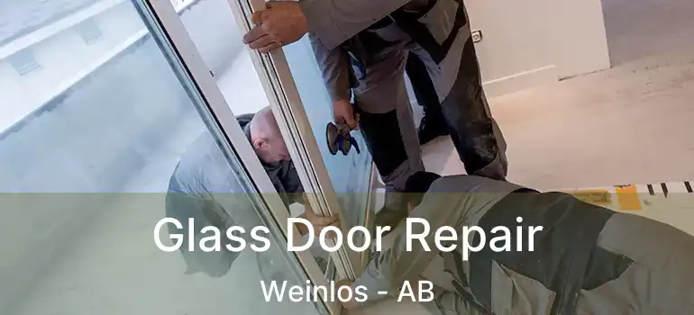  Glass Door Repair Weinlos - AB