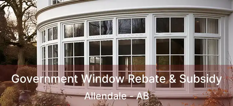  Government Window Rebate & Subsidy Allendale - AB