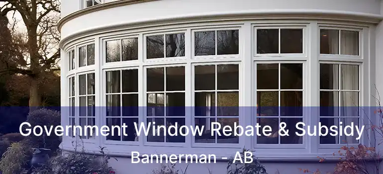  Government Window Rebate & Subsidy Bannerman - AB